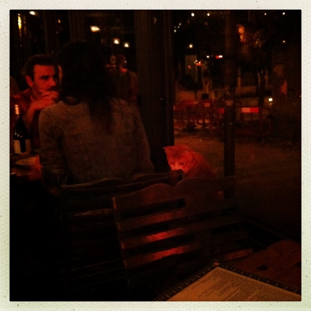 Lady and the cat at the restaurant.jpg