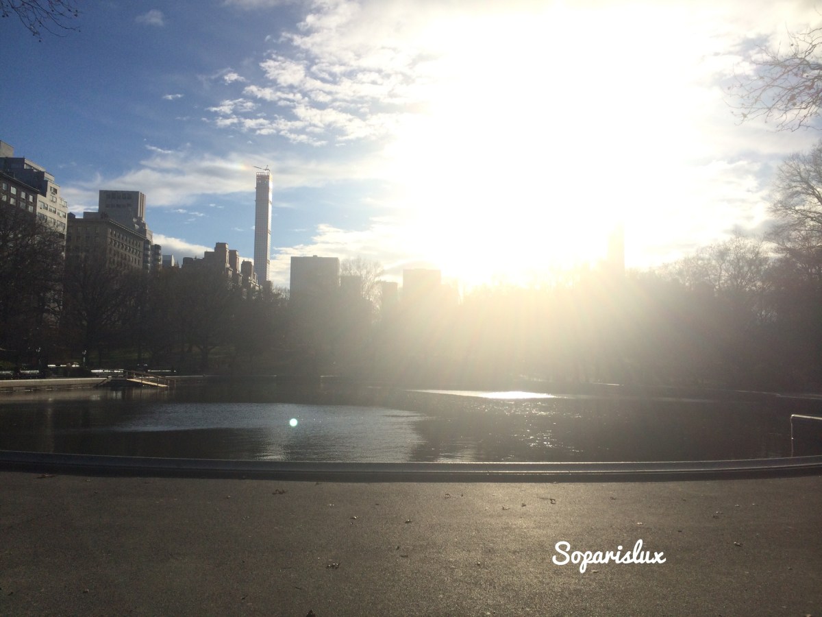 Twinkle, on and on, weekly photo&nbsp;challenge