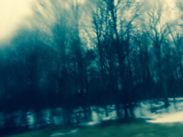 Travelling, on the road, wet forest by my daughter&nbsp;Lillyster!