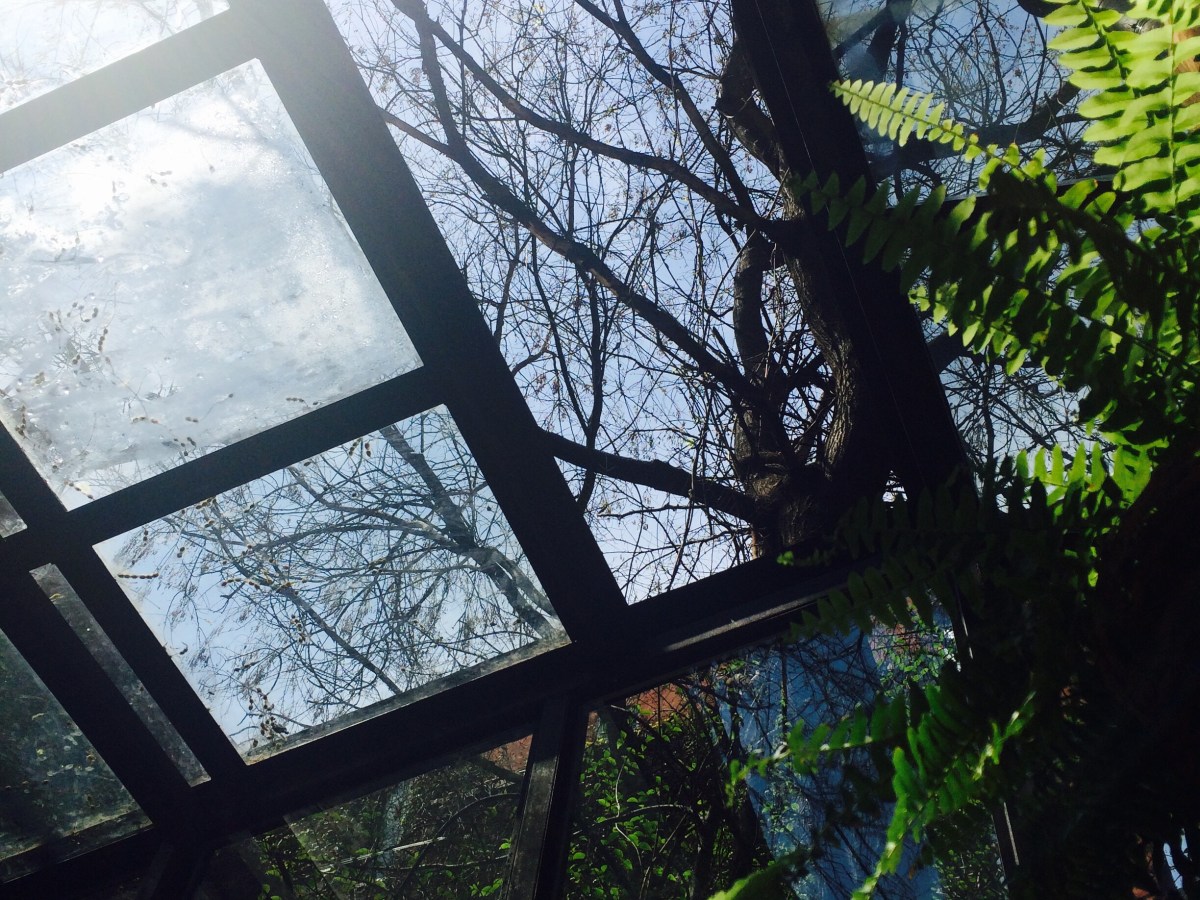 Wordless wednesday 