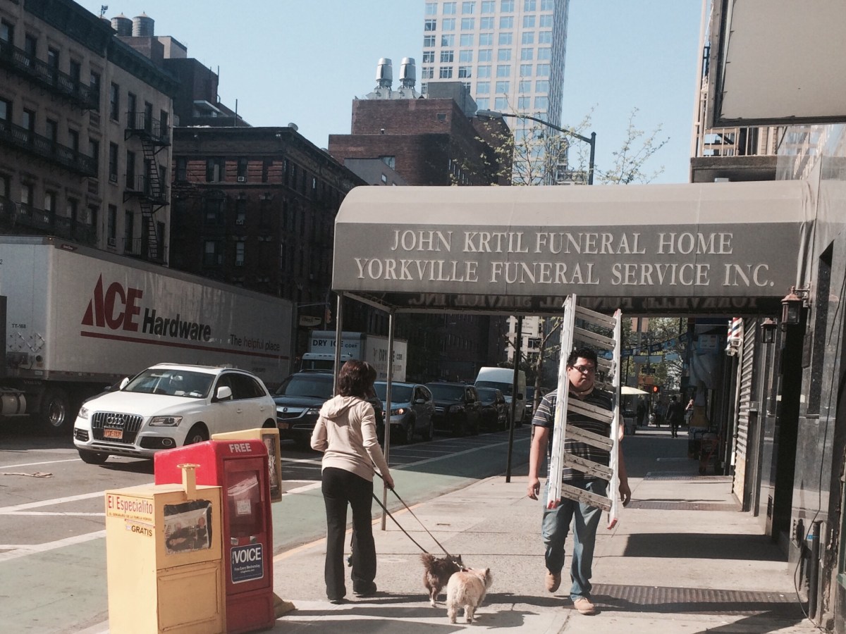 Intricate : humour! Échelle ! Lader!&nbsp;NYC