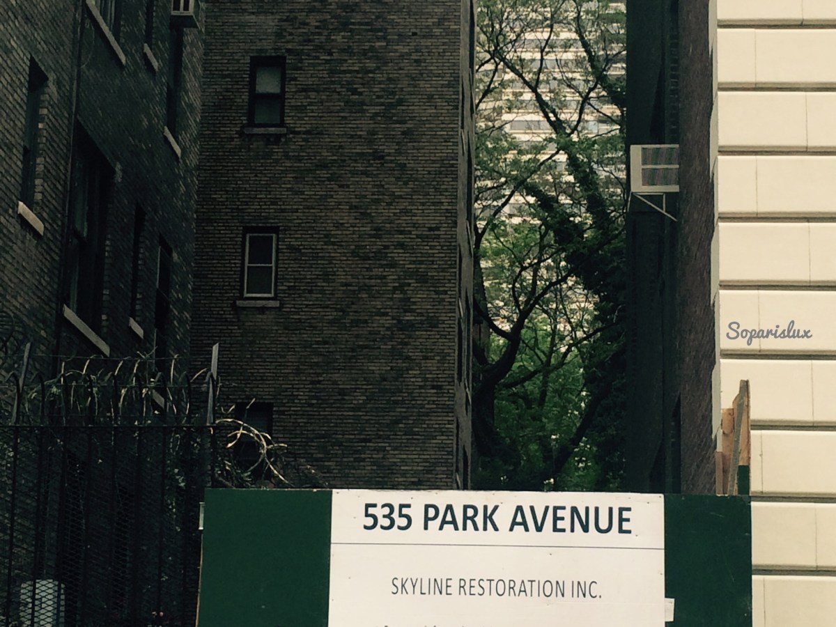 Forces of Nature: New York building and&nbsp;trees!