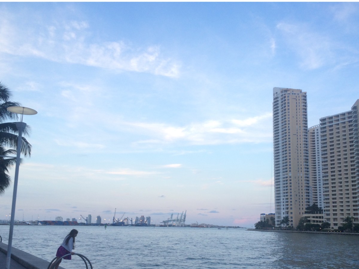 Miami, downtown, design district, brickell, Just a flair&nbsp;!