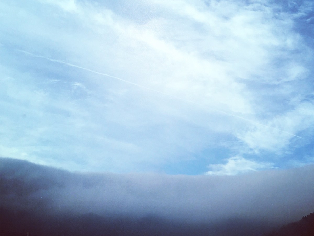 Bed Of clouds